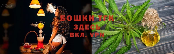дживик Елабуга