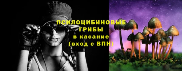 крисы Дмитров