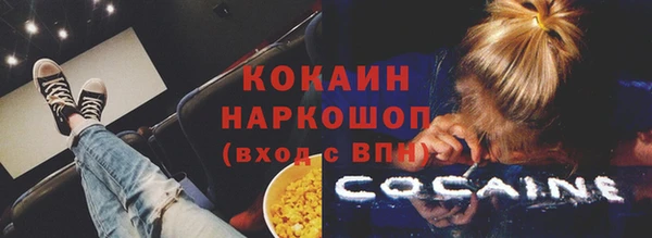 крисы Дмитров