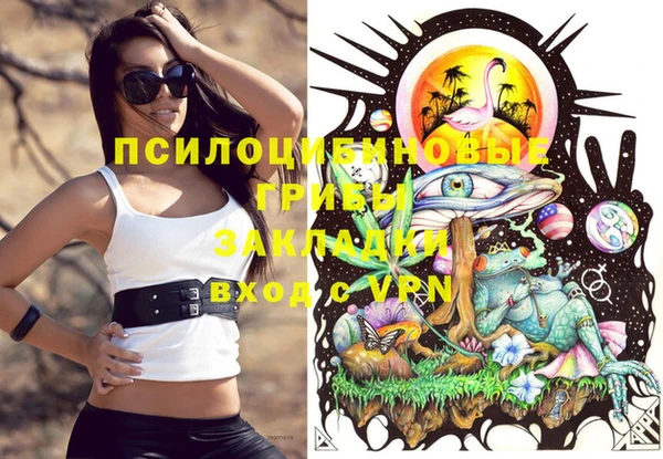 круглые Дмитровск