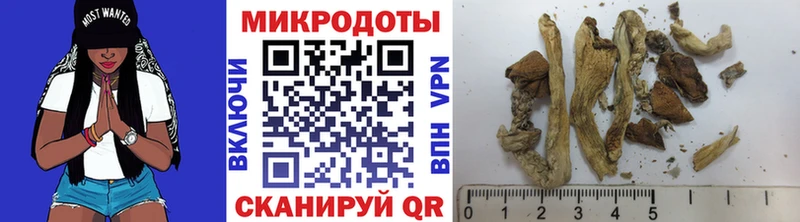 Купить  Новый Оскол  Псилоцибиновые грибы ЛСД 